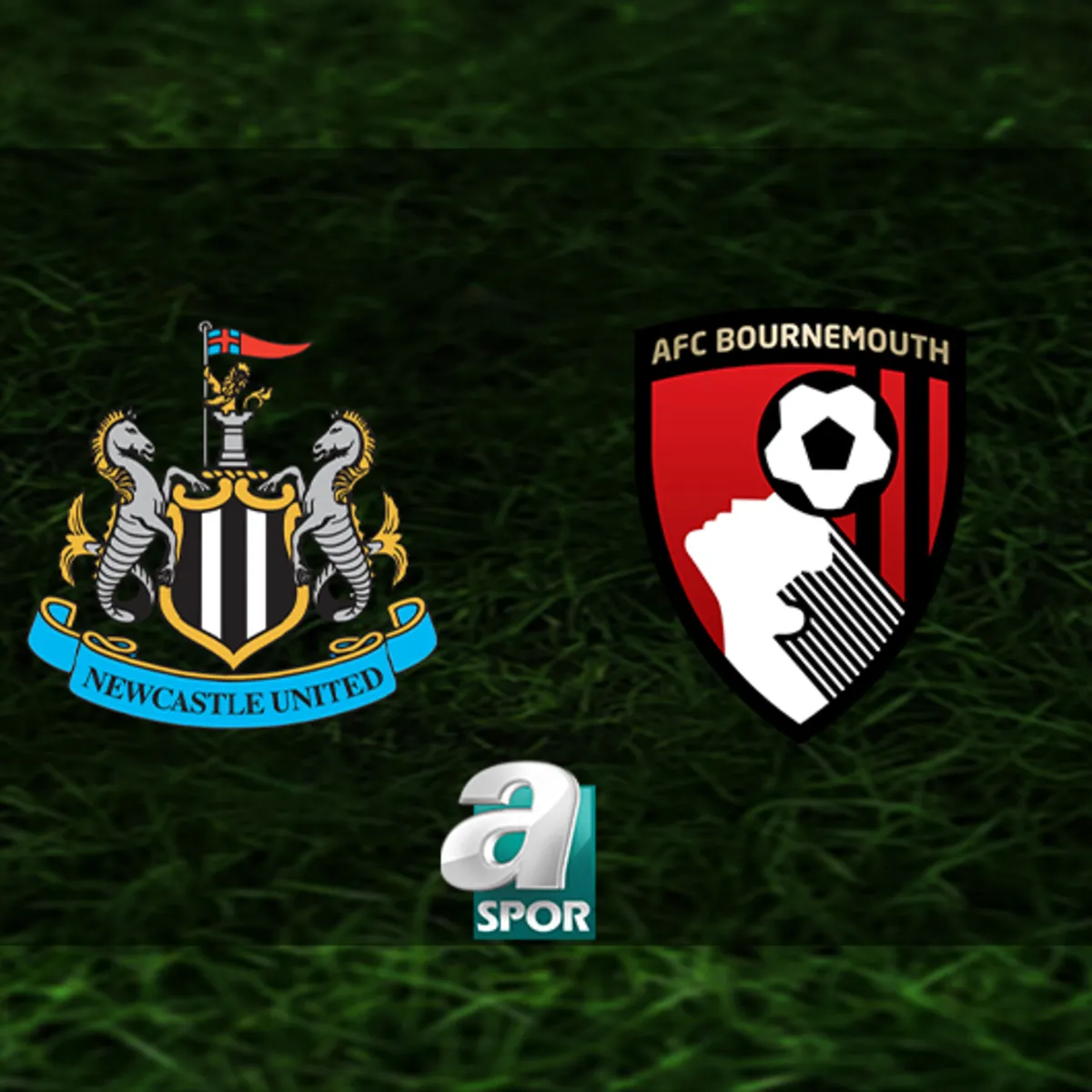 Newcastle-Bournemouth maçı ne zaman, saat kaçta ve hangi kanalda?